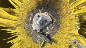 Paint covered exhaust fan