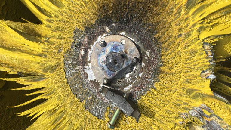 Paint covered exhaust fan